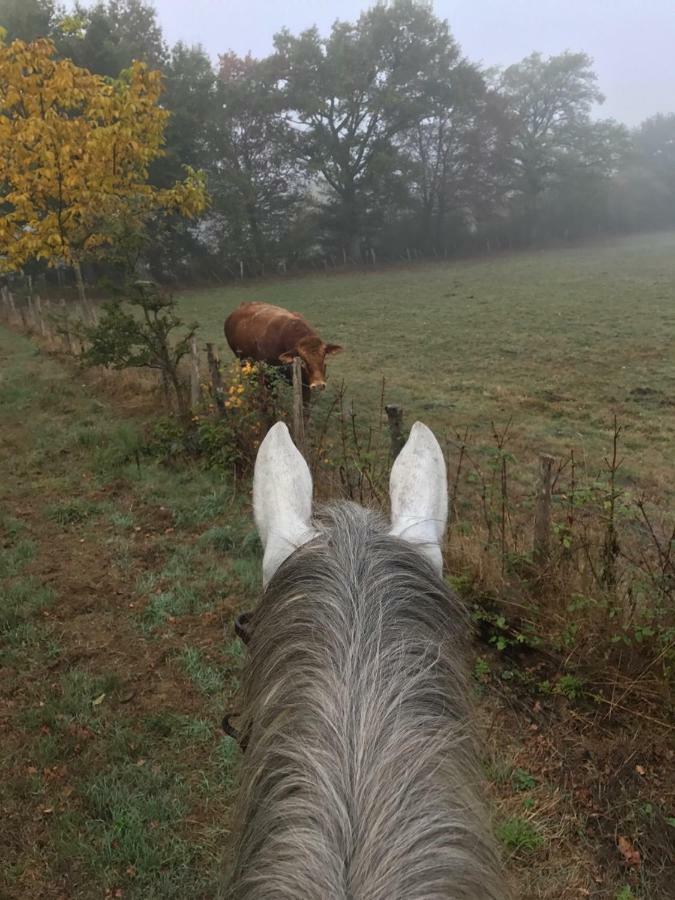 Ferme Gite Equestre En Charente Confolens Exterior foto