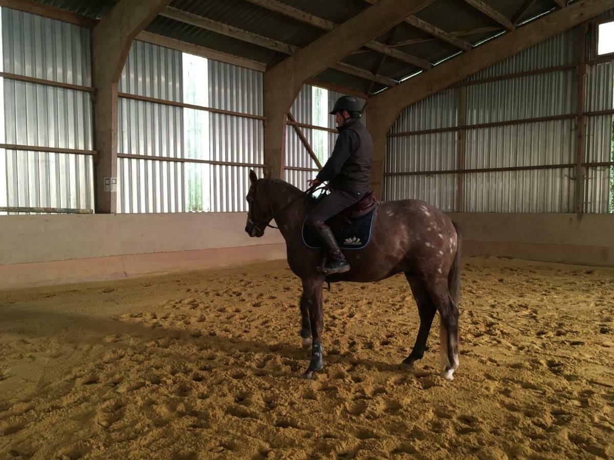 Ferme Gite Equestre En Charente Confolens Exterior foto